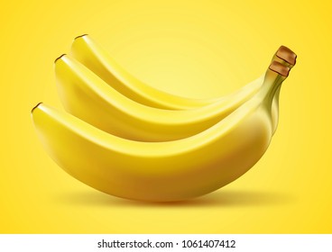 Realistic fruit vector illustration of ripe yellow bananas bunch isolated on white background. 3D model illustrate, copy space and logo for design.