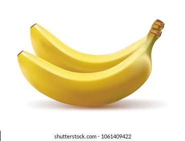 Realistic fruit vector illustration of ripe yellow bananas bunch isolated on white background. 3D model illustrate, copy and logo space for design.