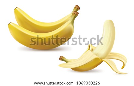 Realistic fruit vector illustration of ripe yellow bananas bunch isolated on white background. 3D model illustrate, copy and logo space for design.