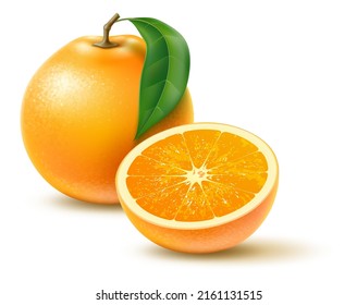 Realistic fruit. Whole and half orange. Fresh food. Juicy citrus. Vitamin meal. Tropical plant ingredient. Aromatic tangerine. Natural harvest. Exotic product. Vector