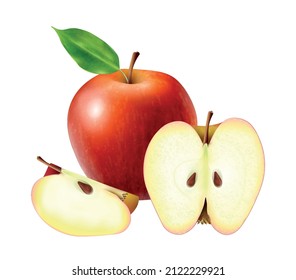 Realistic fruits composition with images of whole and sliced apple fruit on blank background vector illustration