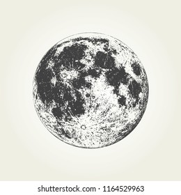 Realistic full moon. Detailed monochrome vector illustration