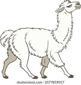  Realistic full-body alpaca illustration on a white background, perfect for creative projects and designs.