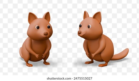 Realistic funny quokka, view from different sides. Small short tailed kangaroo