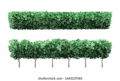 Realistic garden plant fence. Nature green seasonal bushes, tree crown bush foliage and green fence with cute flowers. Garden shrub vector illustration set. 3d public park and garden elements