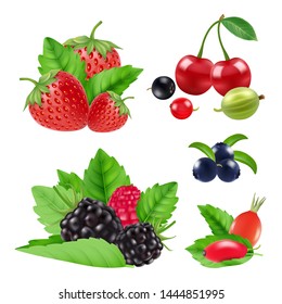 Realistic garden and wild berries. Blackberry, raspberry, blueberry, cherry vector collection. Set of berry, bilberry and blackberry, blueberry and cherry illustration