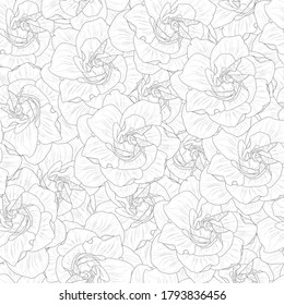 Realistic gardenia flower seamless pattern template in black and white.Jessamine vector illustration for games, background, pattern, decor.Print for textile, fabrics and other surfaces.Coloring paper
