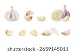 Realistic garlic. 3d isolated garlics whole peeled cloves, spicy vegetables raw onion kitchen cooking spice herbs salad food ingredient natural condiment exact vector illustration