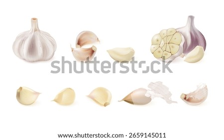 Realistic garlic. 3d isolated garlics whole peeled cloves, spicy vegetables raw onion kitchen cooking spice herbs salad food ingredient natural condiment exact vector illustration