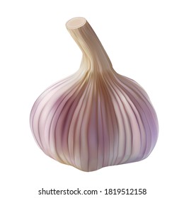 Realistic garlic bulb isolated on white. Vector illustration of spice seasoning plant