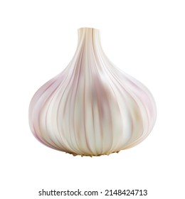 realistic garlic vector illustration isolated on whitebackground, package design product mockup