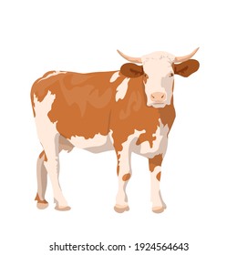 realistic ginger brown cow. dairy cattle. Swiss Brown, Ayrshire, Holstein, Milking White and Brown horns, Guernsey and Jersey Cow. beef