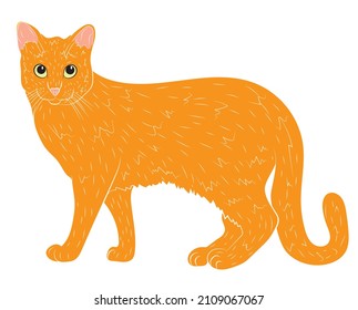 Realistic ginger cat. vector illustration