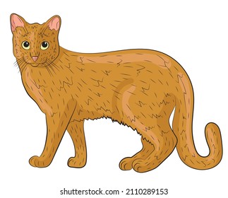 Realistic ginger cat. vector illustration