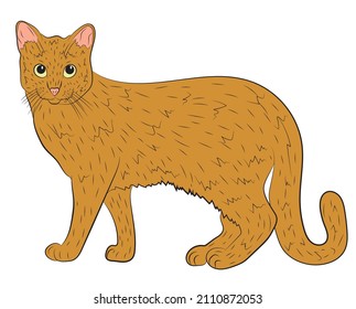 Realistic ginger cat. vector illustration