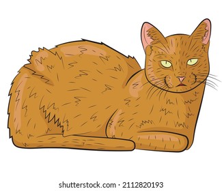 Realistic ginger cat. vector illustration