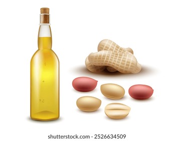 Realistic glass bottle peanut oil with peanut seeds and peanut pods on white background for advertising, web and etc.