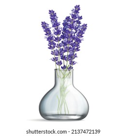 Realistic glass vase with bunches of lavender flowers on white background isolated vector illustration