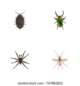 Realistic Gnat, Arachnid, Dor And Other Vector Elements. Set Of Bug Realistic Symbols Also Includes Bug, Insect, Dor Objects.