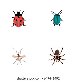 Realistic Gnat, Bug, Tarantula And Other Vector Elements. Set Of Bug Realistic Symbols Also Includes Blue, Bug, Arachnid Objects.