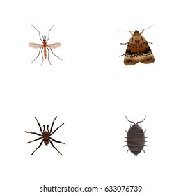 Realistic Gnat, Butterfly, Arachnid And Other Vector Elements. Set Of Animal Realistic Symbols Also Includes Bug, Arachnid, Butterfly Objects.