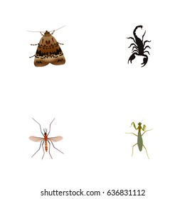 Realistic Gnat, Grasshopper, Butterfly And Other Vector Elements. Set Of Bug Realistic Symbols Also Includes Grasshopper, Locust, Scorpion Objects.