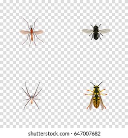Realistic Gnat, Midge, Spider And Other Vector Elements. Set Of Bug Realistic Symbols Also Includes Sting, Wisp, Gnat Objects.
