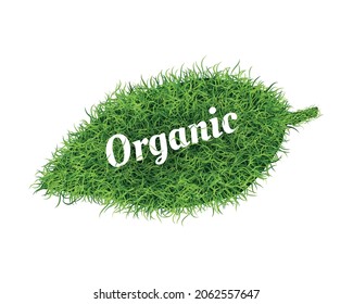 Realistic go green grass composition with piece of grass lawn of leaf shape with text vector illustration