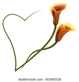 Realistic gold calla lily, heart. The symbol of Restraint and Devotion.