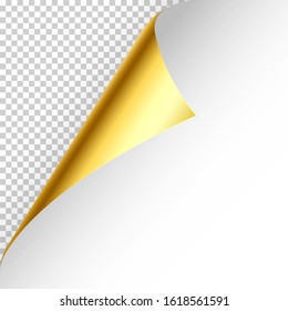 Realistic golden curled page corner with shadow on checkered background. Greeting card design element. Blank sheet of paper. Vector illustration.