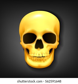 Realistic golden skull head on dark background, Vector Illustration