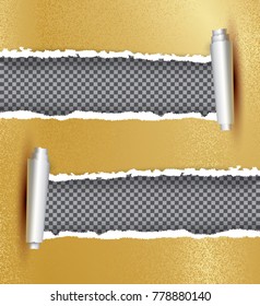 Realistic Golden Torn Open Paper with Copy Space. Vector Illustration. Rip edges.