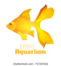 Realistic Goldfish. Vector illustration