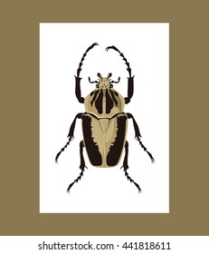 Realistic Goliath geant vector illustration