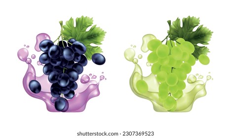 Realistic grape brunches icons set with juice splashes isolated vector illustration