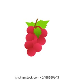 Realistic grape fruit and leaf red color on white background