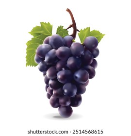Plano de fundo branco isolado de uva realista, vetor realista, ilustração de outono	