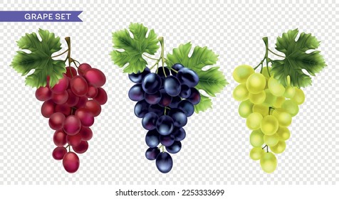 Realistic grape set with isolated images of colorful vine clusters of different color on transparent background vector illustration