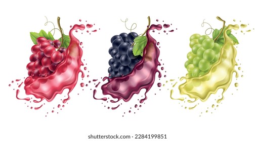 Realistic grape splash. Wine berries different varieties in flying color liquids, vines in juice, dessert alcoholic drink. Colorful water drops, 3d isolated elements utter vector set