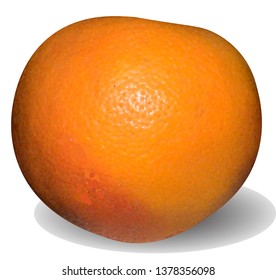Realistic grapefruit fruit on a white background. Vector.