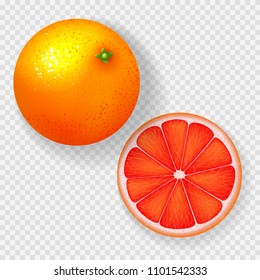 Realistic grapefruit isolated on transparent background. Top view on whole grapefruit and one slice. Vector illustration.