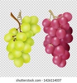 Realistic grapes isolated on transparent background. Vector bunches of red and white grapes. Illustration of grape food, juicy red and white harvest