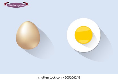 realistic graphic design vector of egg and fried egg with fade shadow
