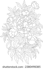 Realistic graphic peony flower bouquet with leaves sketch template. Cartoon vector illustration in black and white for games, background, pattern, decor. Coloring paper, page, story book, print