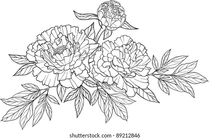 Realistic graphic three peony flower tattoo image with leaves. Cool for t-shirts, tattoos and design.