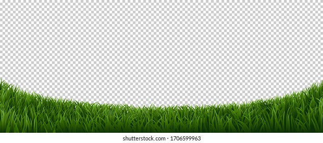 Realistic grass border. Green herb lawn, garden herb plants frame, fresh lawn border element vector background. Horizontal border lawn grass, meadow field green illustration