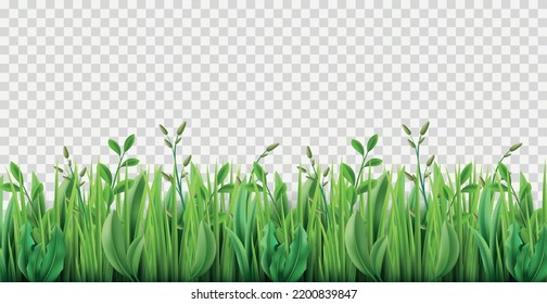 Realistic grass border. Lush strip of green lawn grass, 3d herbs isolated on transparent background, park nature plants growing, environmental pasture, horizontal meadow, utter vector concept