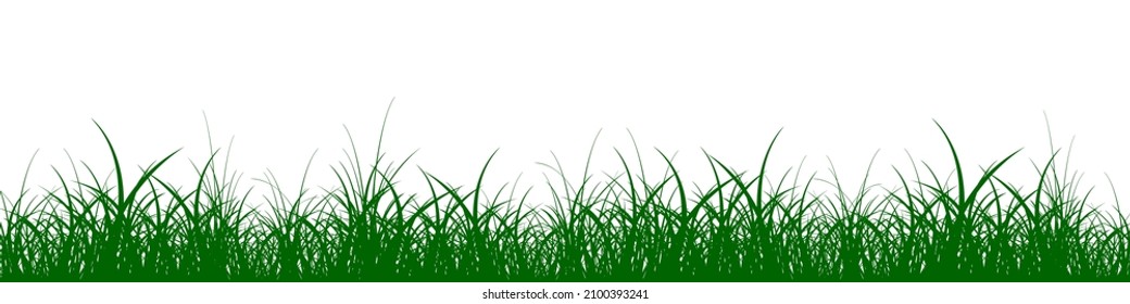 Realistic Grass Border , Vector Illustration