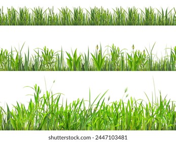 Realistic grass border. Yard turf borders, golf lawn green herbs edging sprout fresh grasses row nature meadow field soccer gazon frame bar, macro 3d herb exact vector illustration