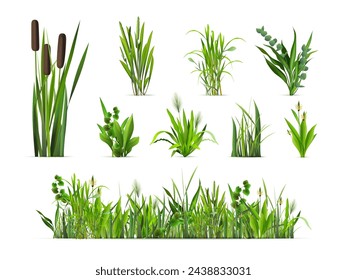 Realistische Grasbüsche. 3D isolierte grüne Vegetation, Roter Busch Sprout Waldpflanzen Gräser Unkraut Bauernhof Garten Sommergarten Frühlingsfeld, Kräuter Vektor-Illustration von Gras isolierte Natur